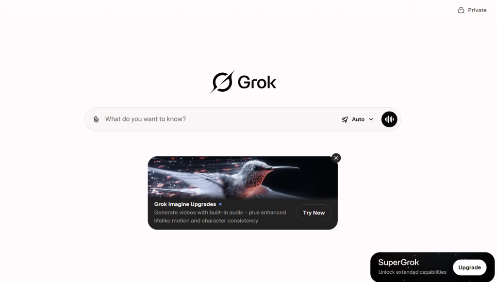 Grok Search by X